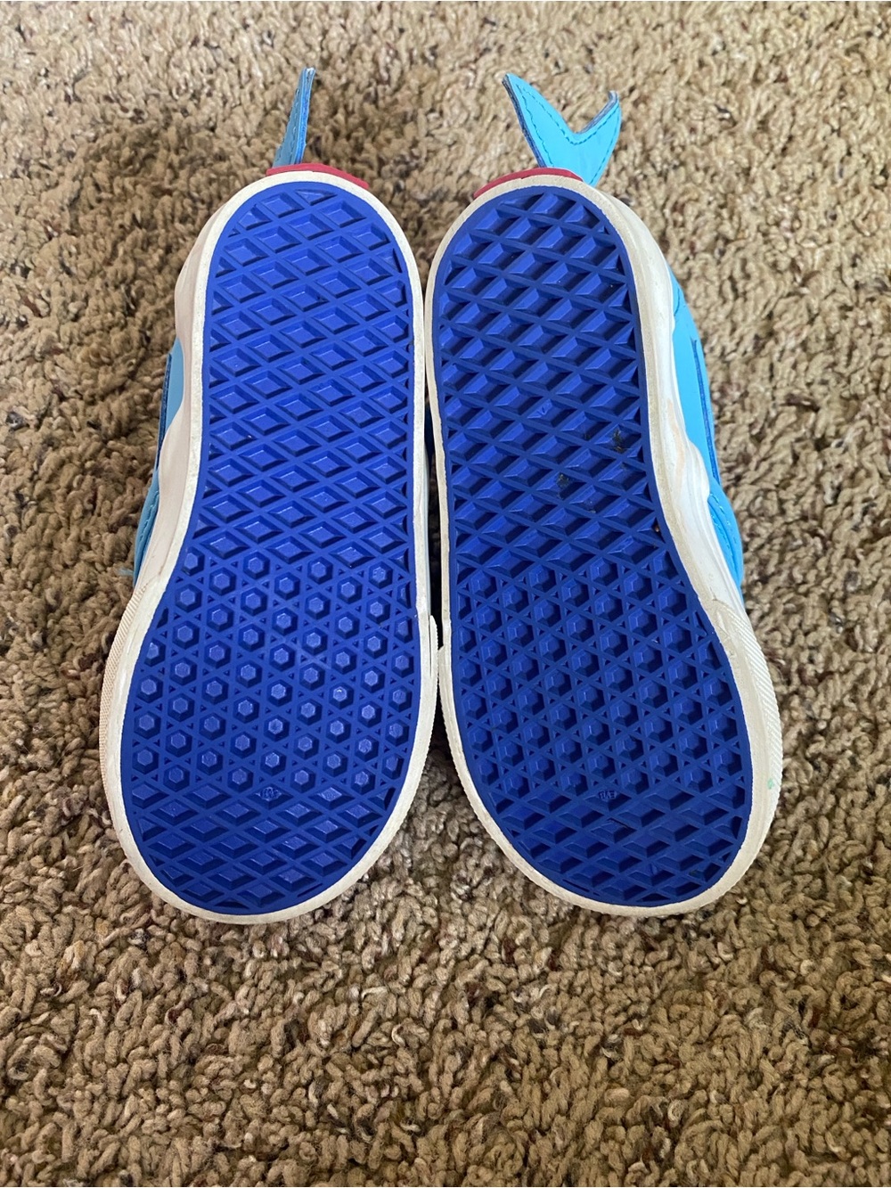 Shark Vans - Picture 4 of 5